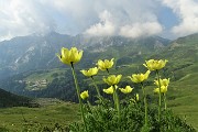 Anello di Cima Lemma e Pizzo Scala dalla Baita del Camoscio il 1 luglio 2019- FOTOGALLERY